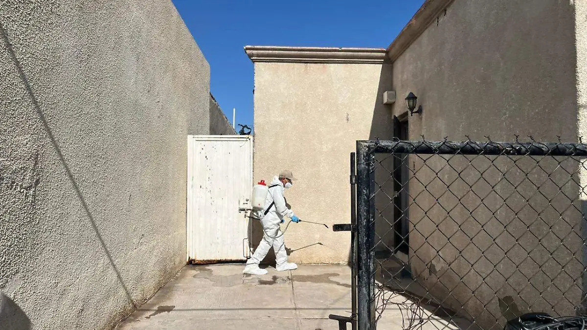 Fumigación casa infestada de garrapatas