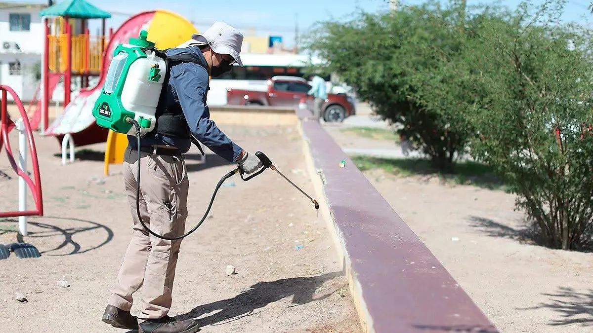 Fumigación en parques