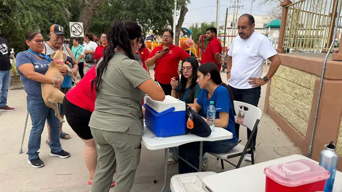 DABA Esterilizaciones