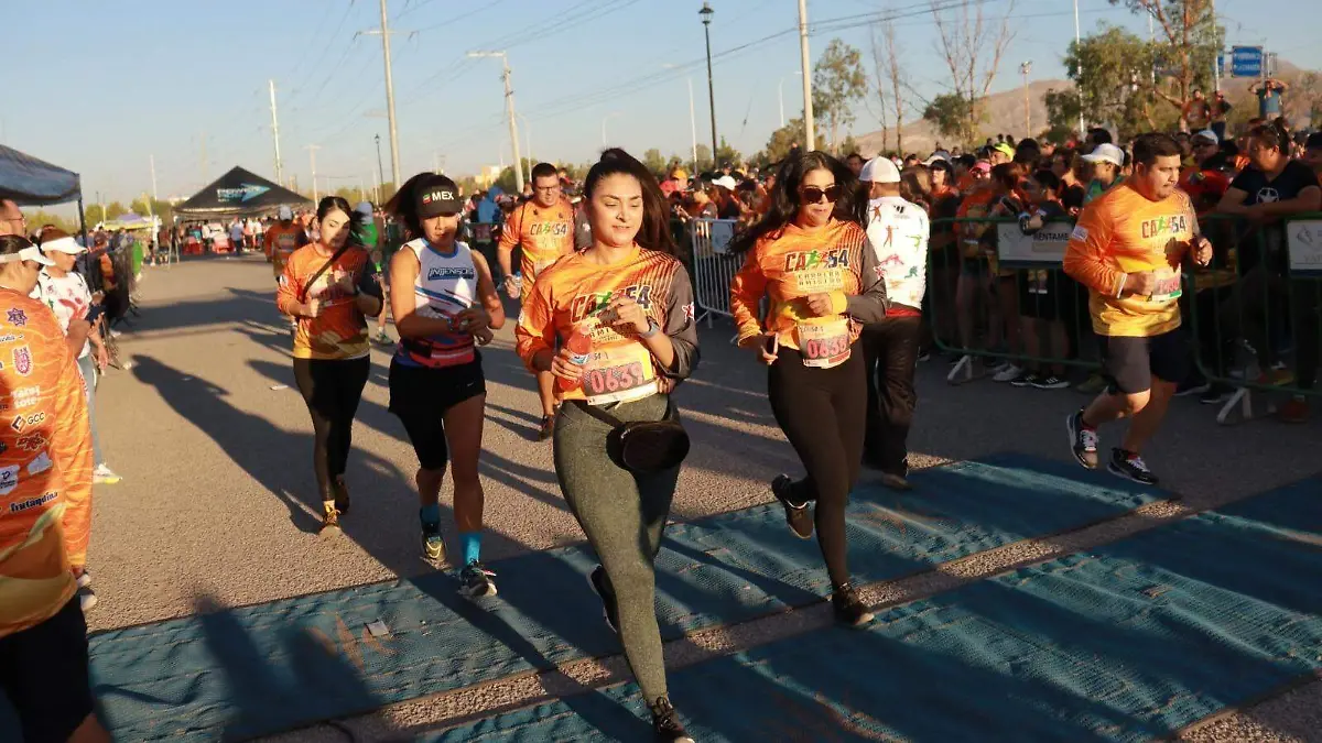 Sport Fest