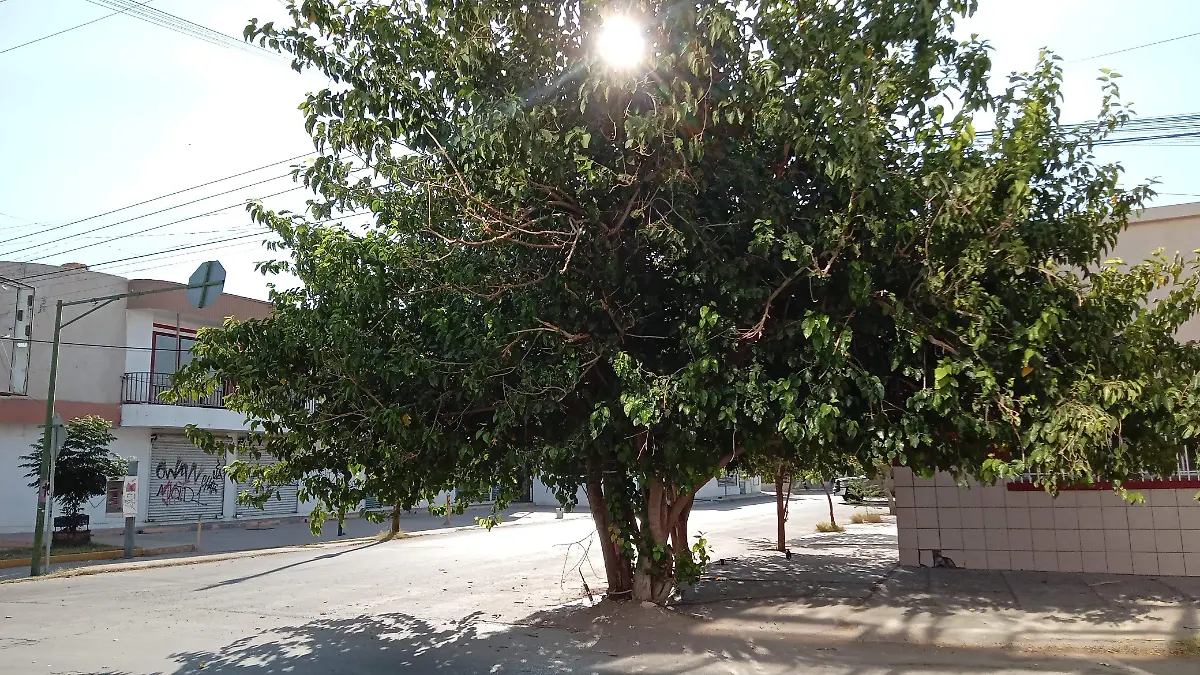 1000987383