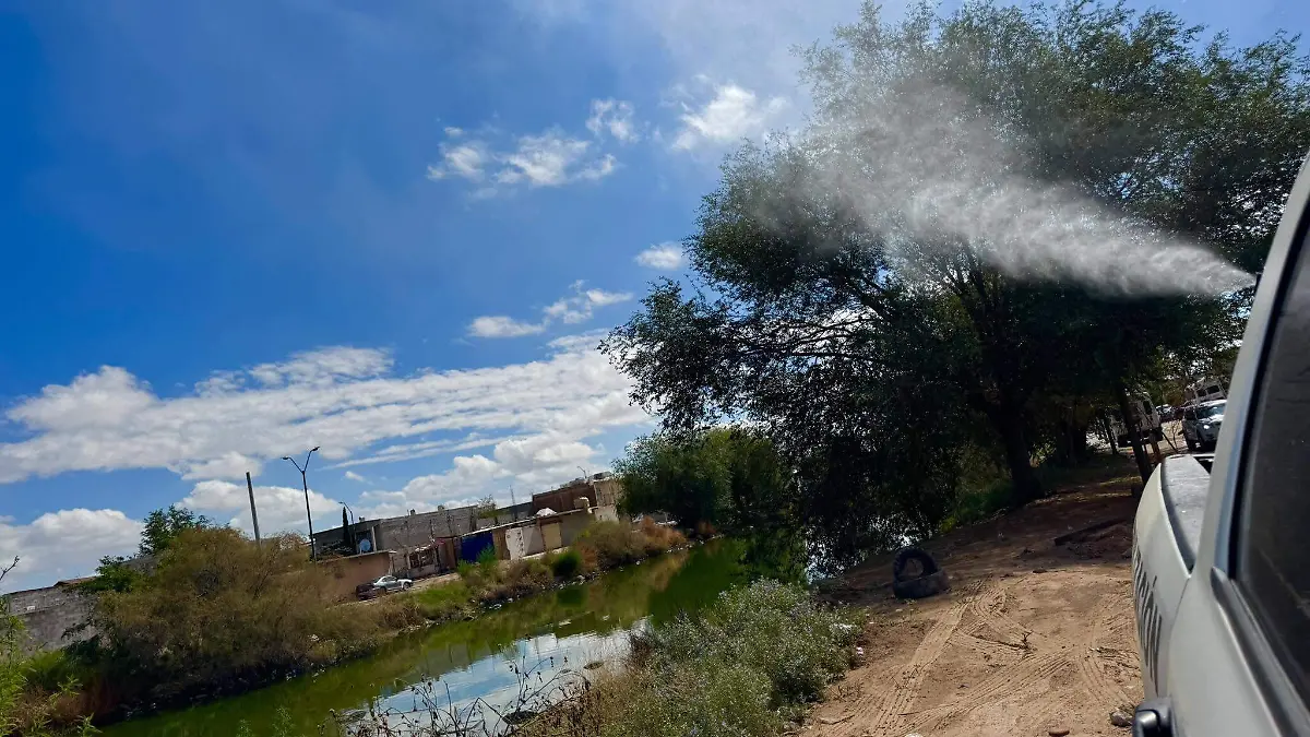 Nebulización Ecologia