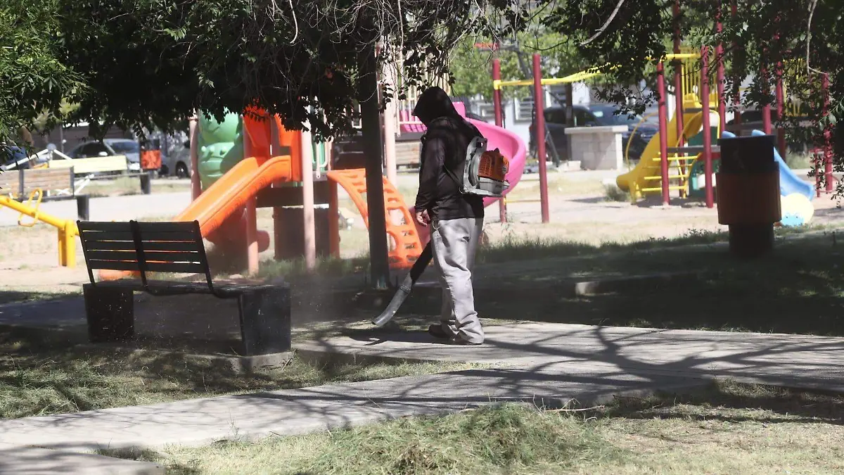 Parques y Jardines
