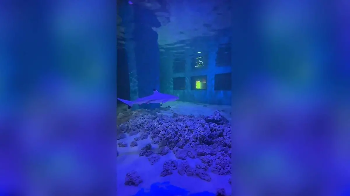 Acuario