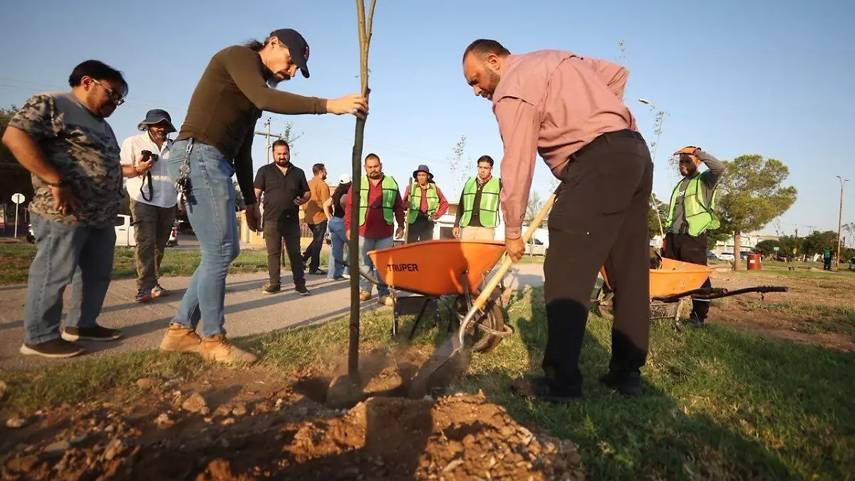 Jornada de Plantacin
