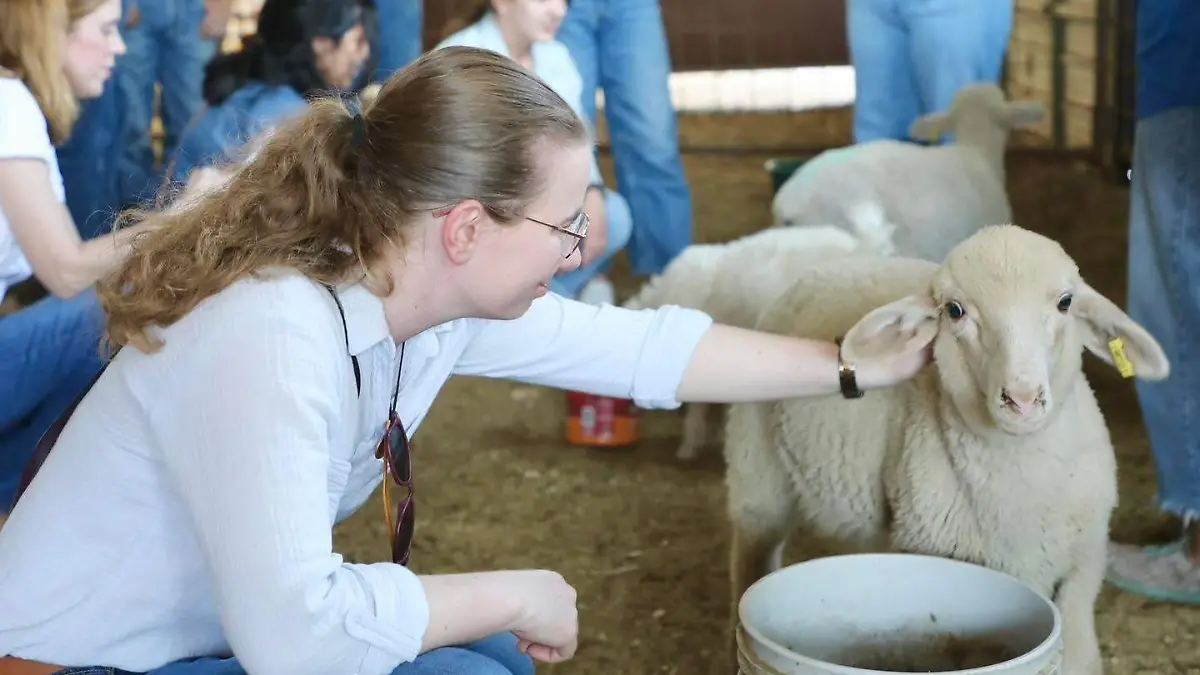 161560
