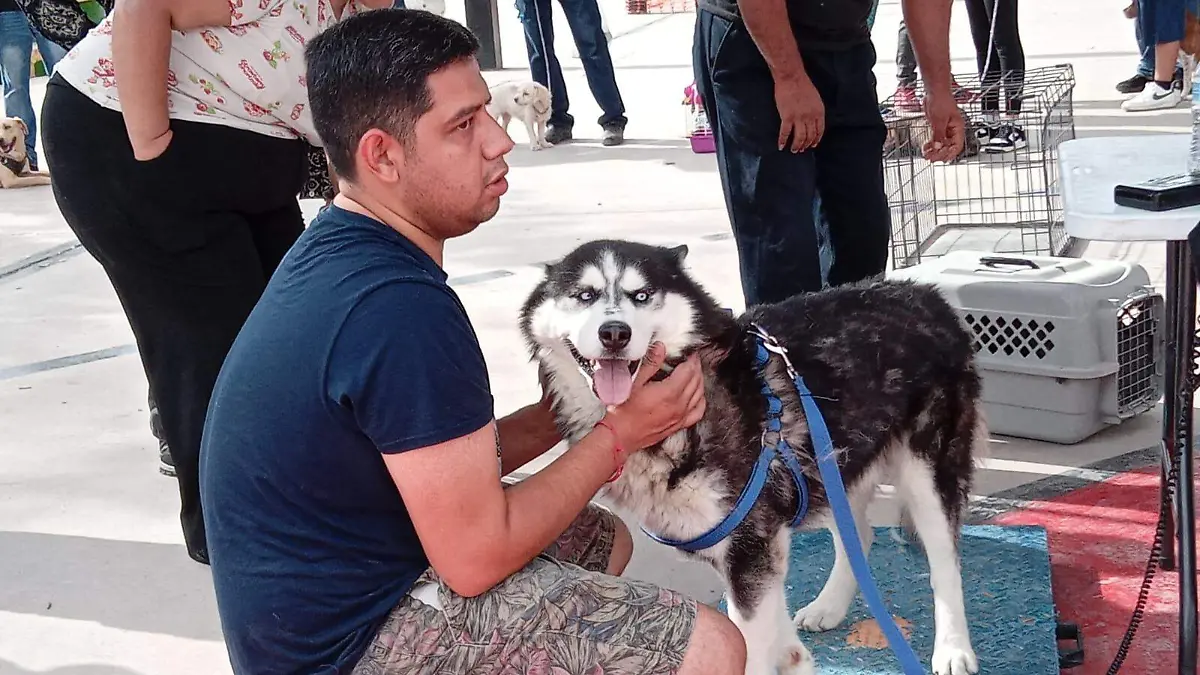 Esterilizacion 3