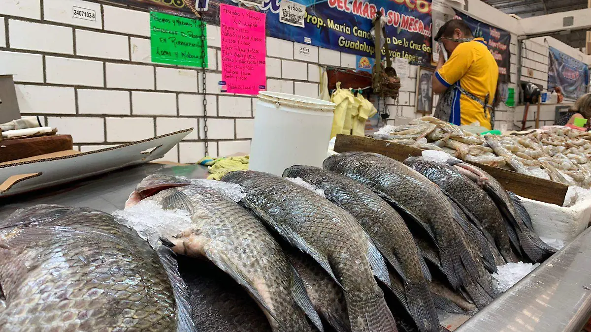 Image 2024-07-28 at 10.20.13 AM