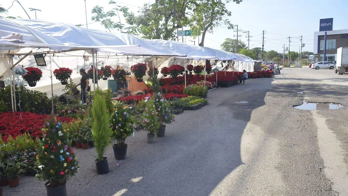 Pino natural o artificial ¿Cuál contamina más?