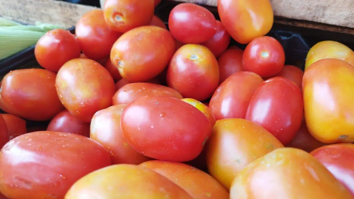 Image 2024-06-03 at 2.26.44 PM (3)