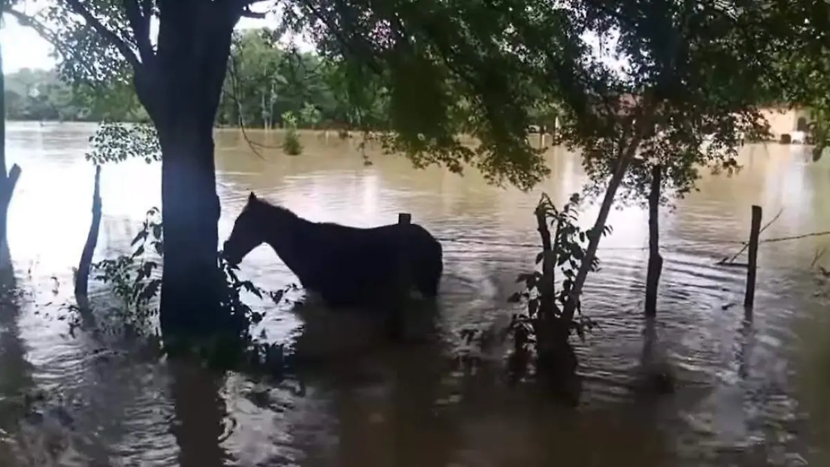 464080865_995037056000964_5752332894056199537_n