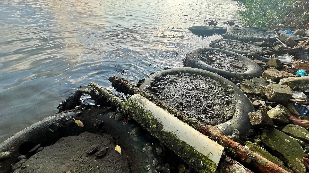 5 Puerto Ceiba_Paraíso- Refineria Dos Bocas_Olmeca 2024