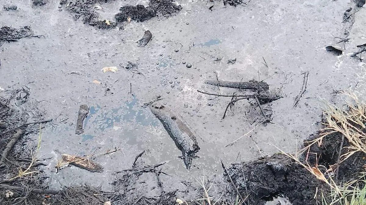 435729657_409787868610232_1745454516538238910_n