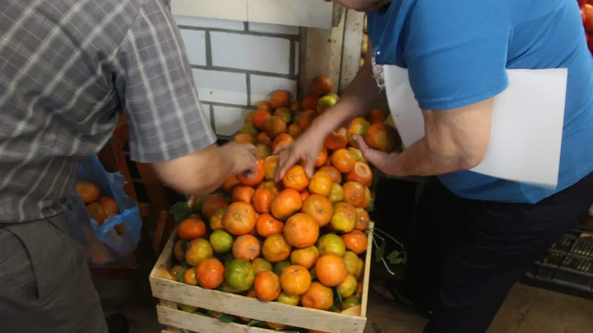 WhatsApp Image 2023-12-22 at 4.08.57 PM