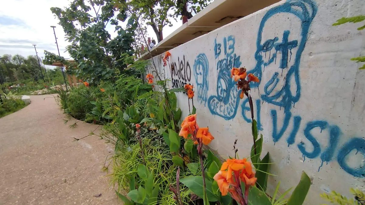 WhatsApp Image 2024-02-05 at 3.35.37 PM (2)