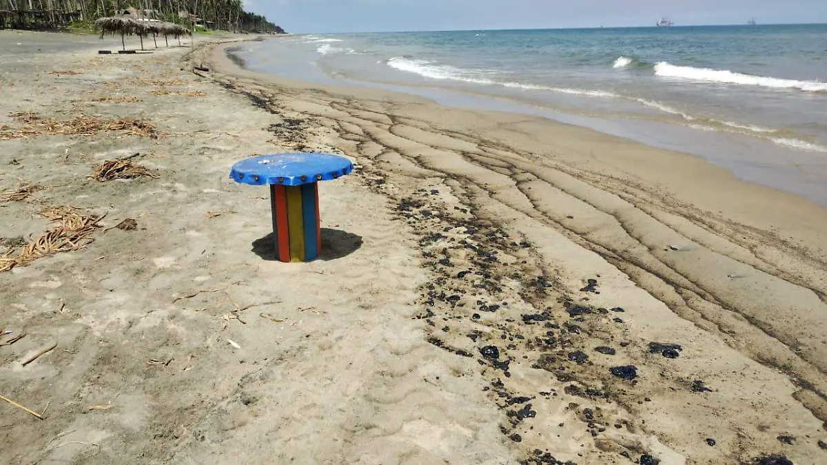 WhatsApp Image 2024-08-21 at 4.19.21 PM