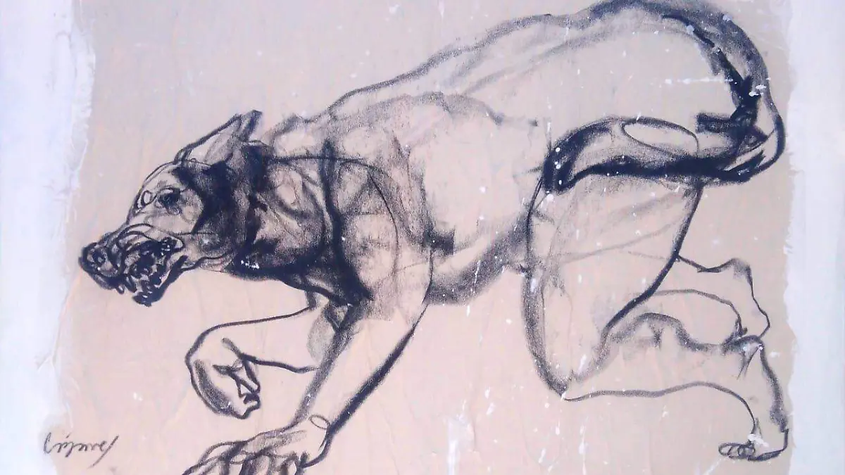 NAHUAL+PERRO+charcoal+drawing+by+JUAN+CARLOS+CAZARES
