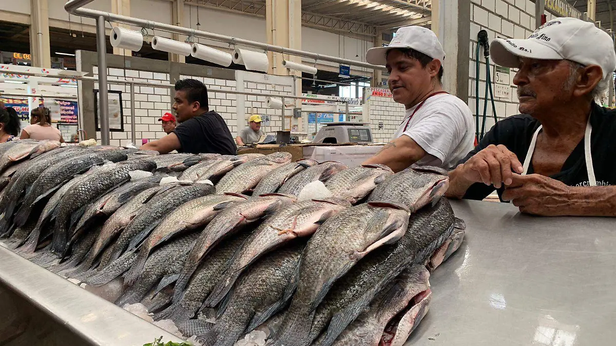 Image 2024-07-28 at 10.20.12 AM