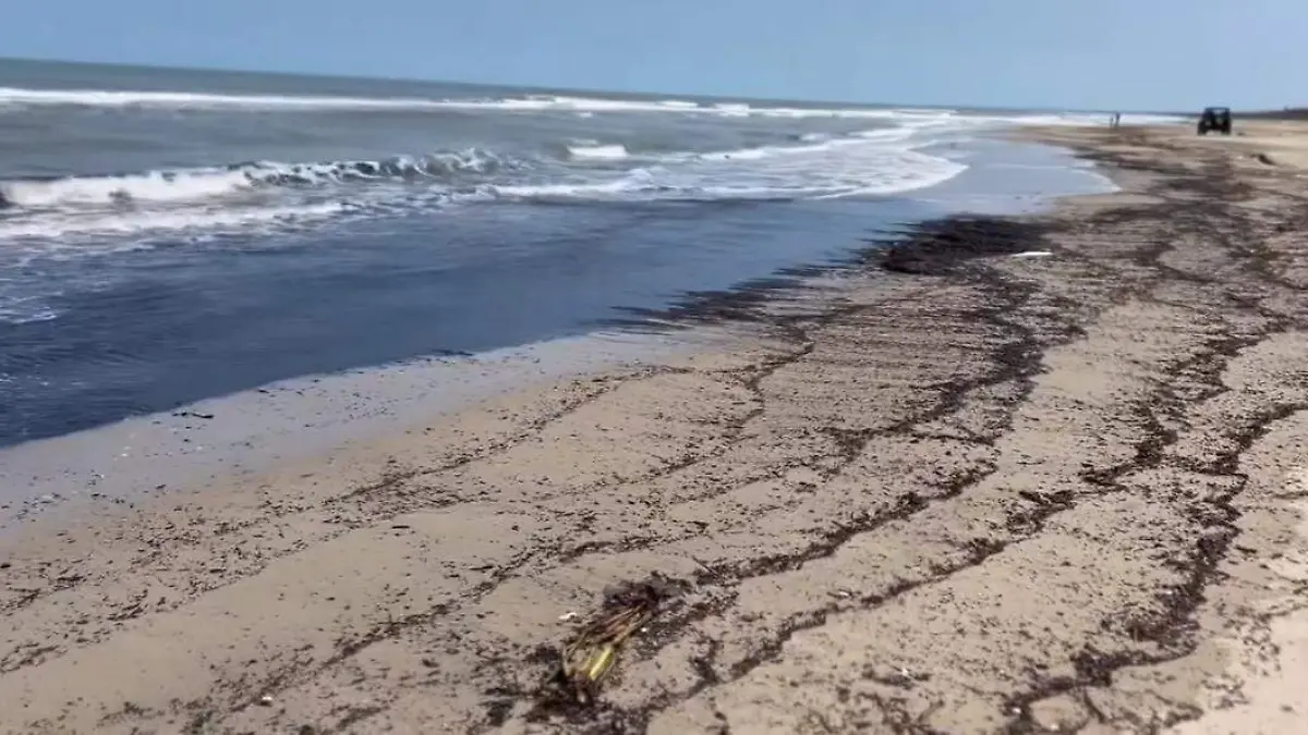 WhatsApp Image 2024-03-24 at 7.10.05 PM