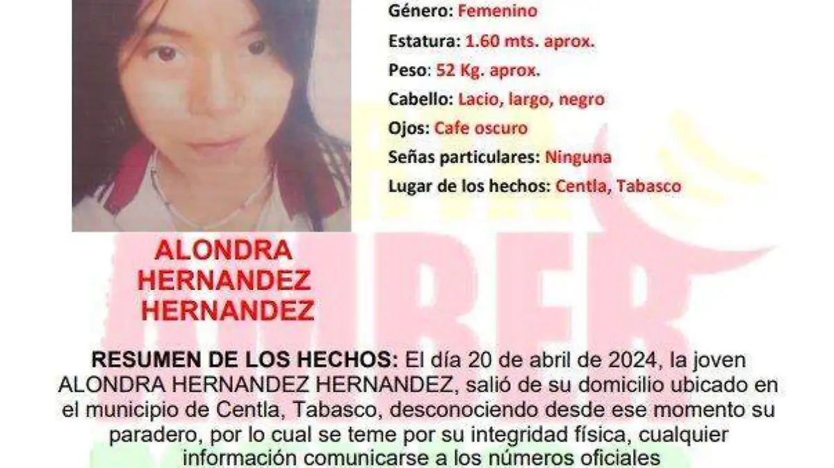 Image 2024-04-23 at 8.08.53 PM