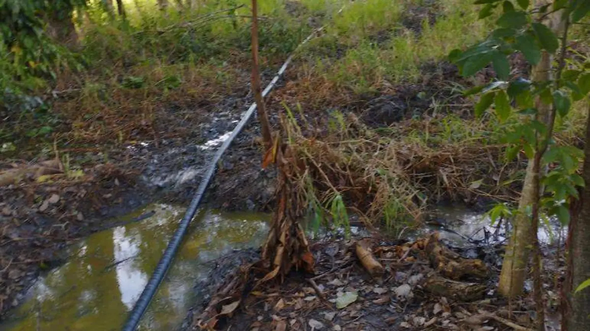 WhatsApp Image 2023-12-08 at 3.25.31 PM