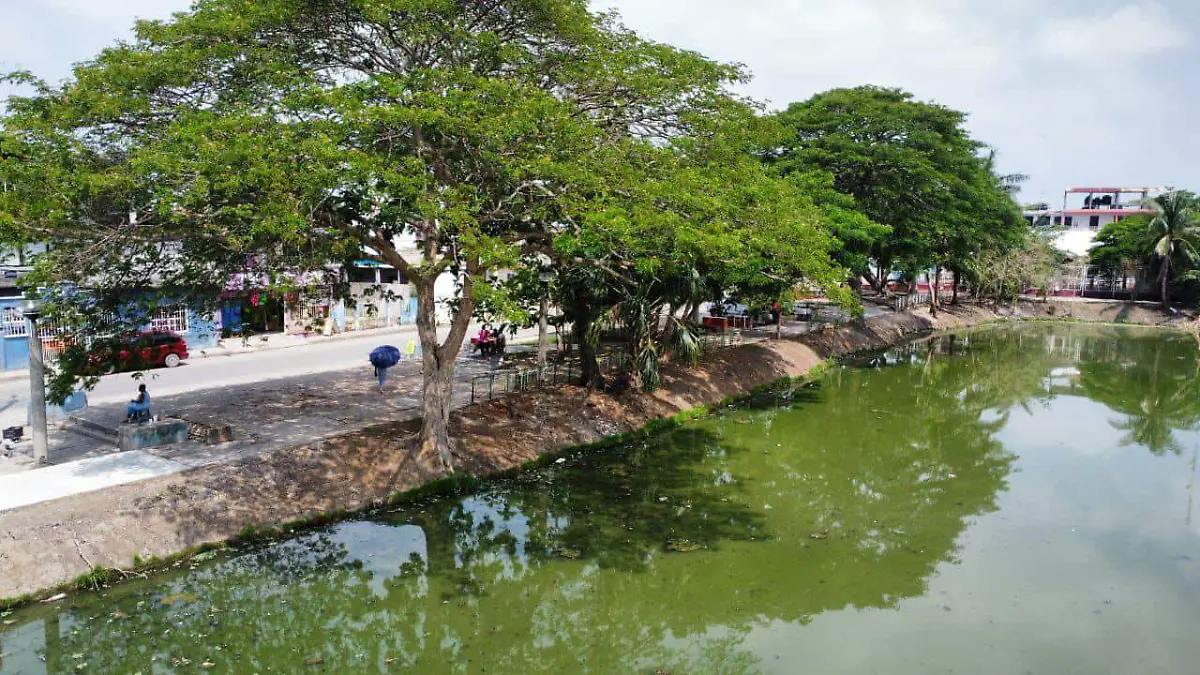 vaso 7, local, limpieza, lluvias, ayuntamientos