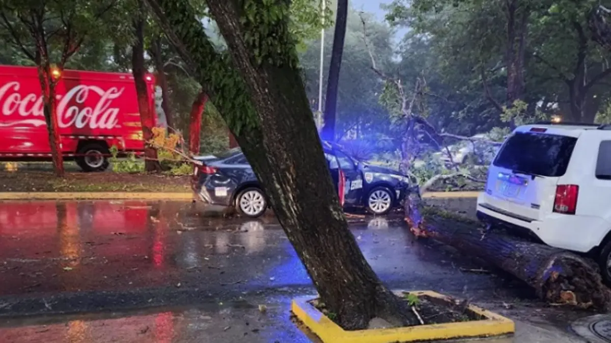 Captura de pantalla 2024-07-09 a la(s) 8.13.18 p. m.