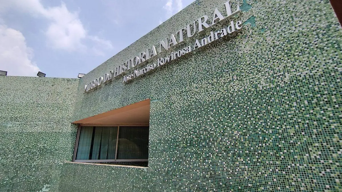 Image 2024-07-24 at 4.14.26 PM (1)