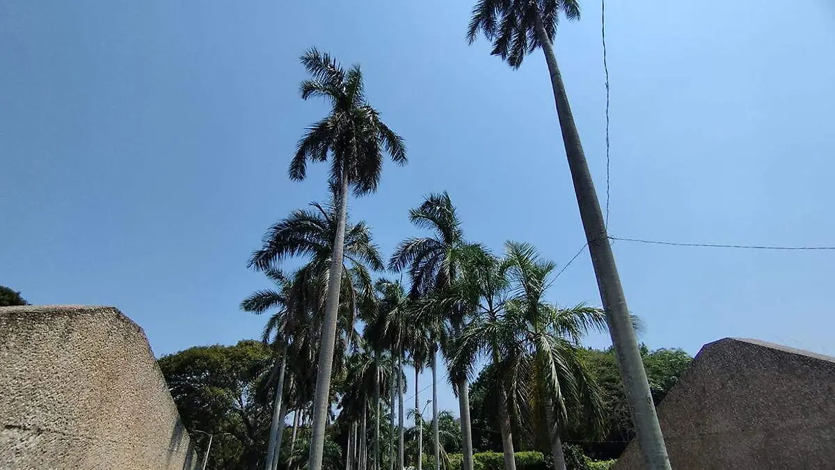 Parque-Tomás-Garrido
