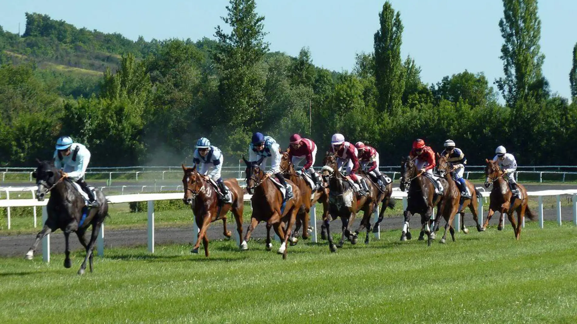 Caballos-De-Carrera