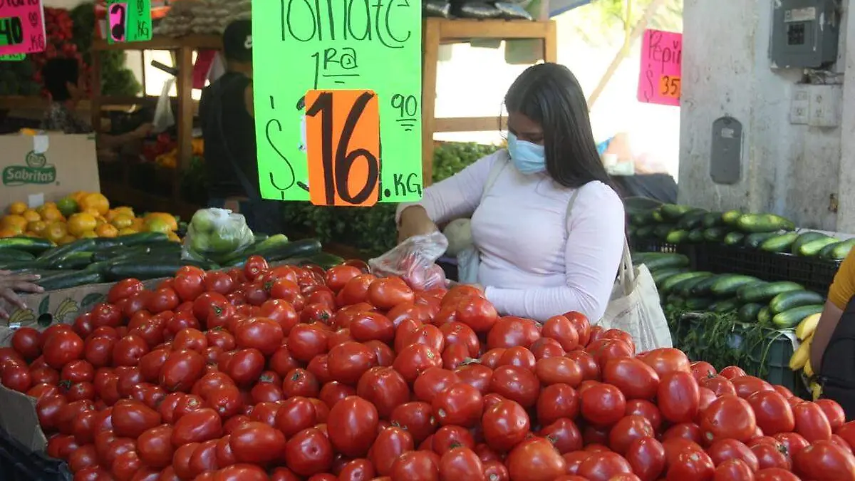 Precio-Del-Tomate