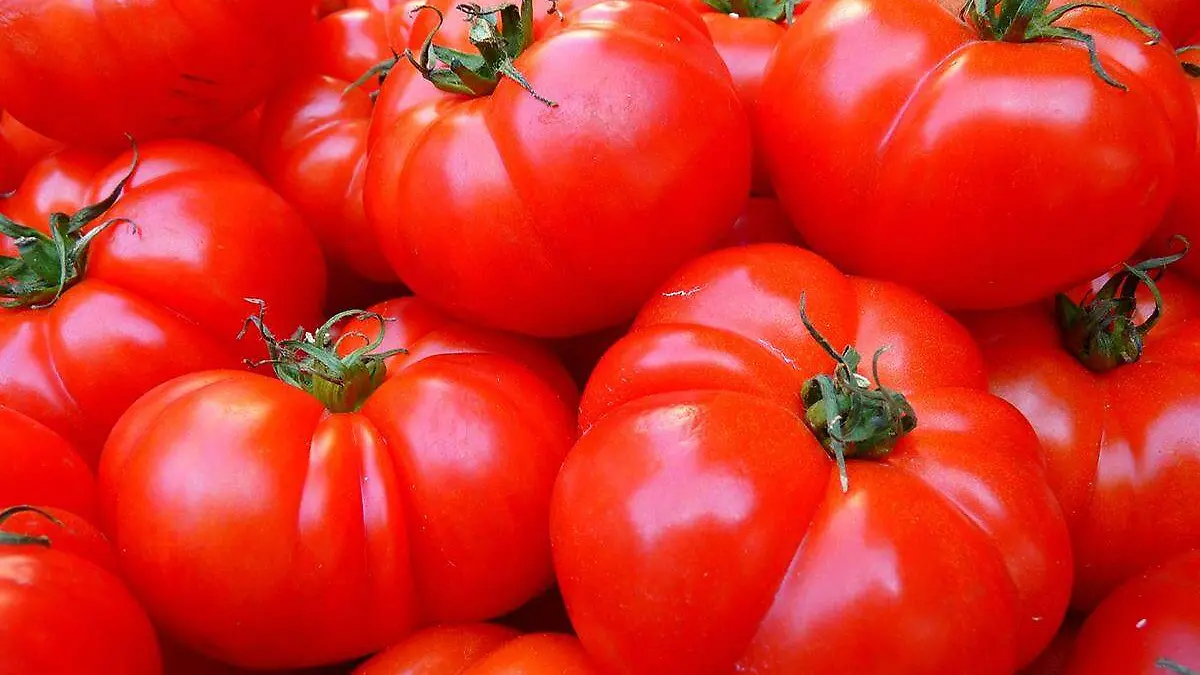 Precios-De-Productos-Tomates