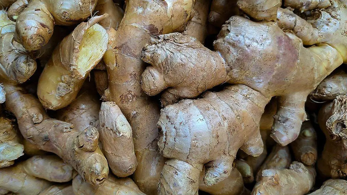 Herbolaria-Jengibre