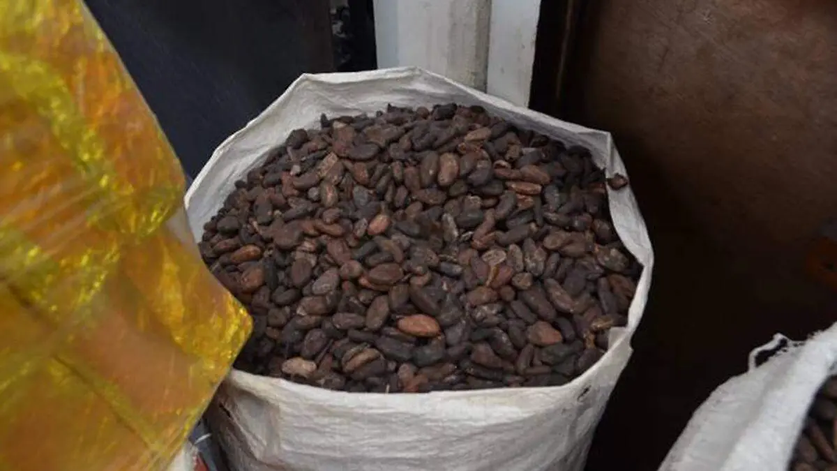 Bolsa-Con-Cacao