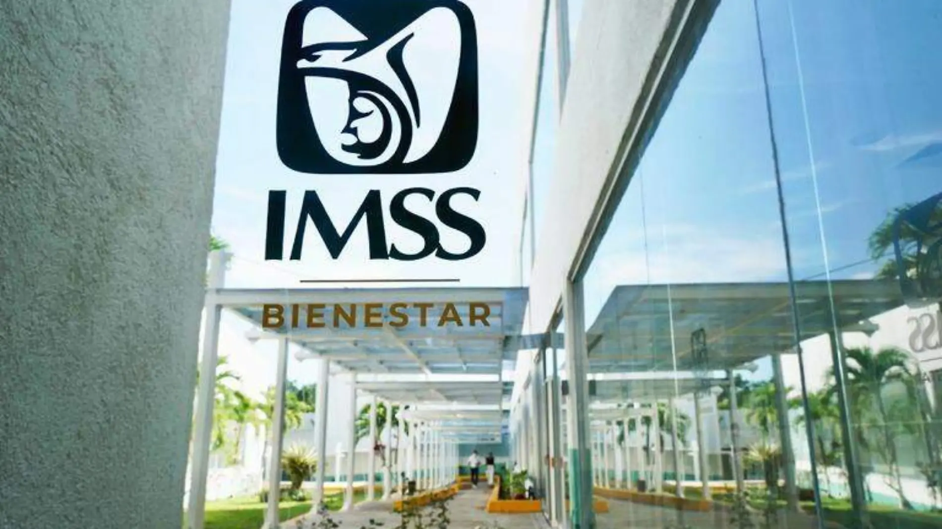 imss