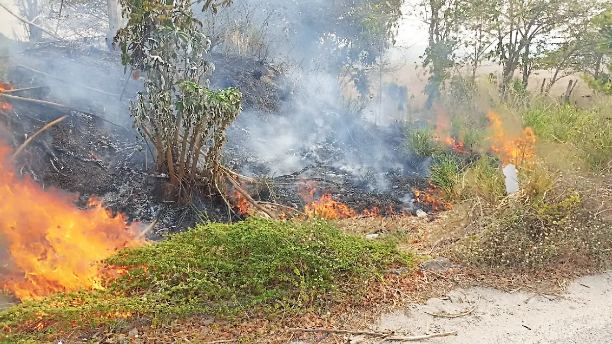 Incendio de pastizal