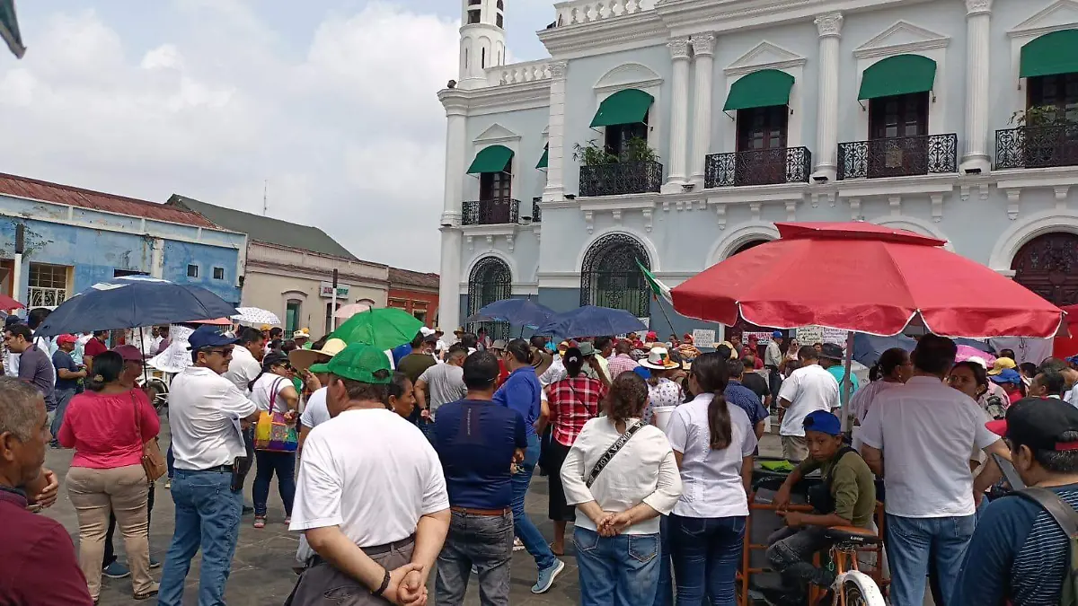 Plantón