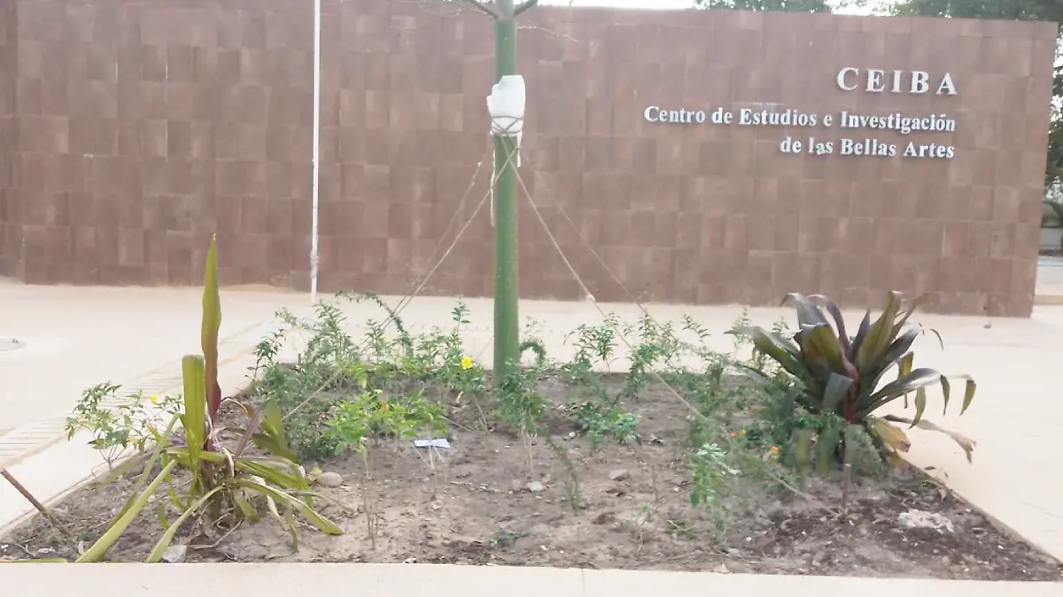 Zona Cicom Villahermosa