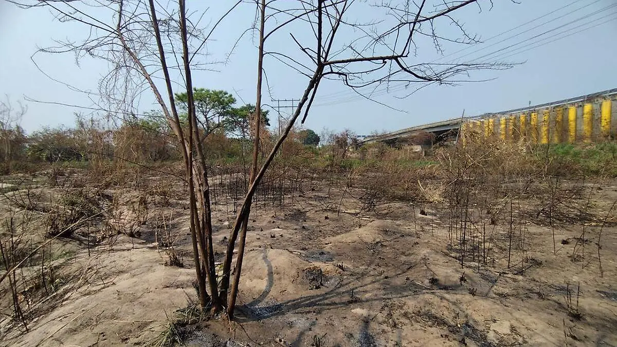 Calor-Pastizales-Rama