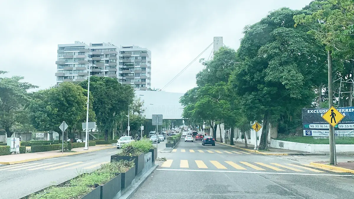 avenida transitada de ciudad