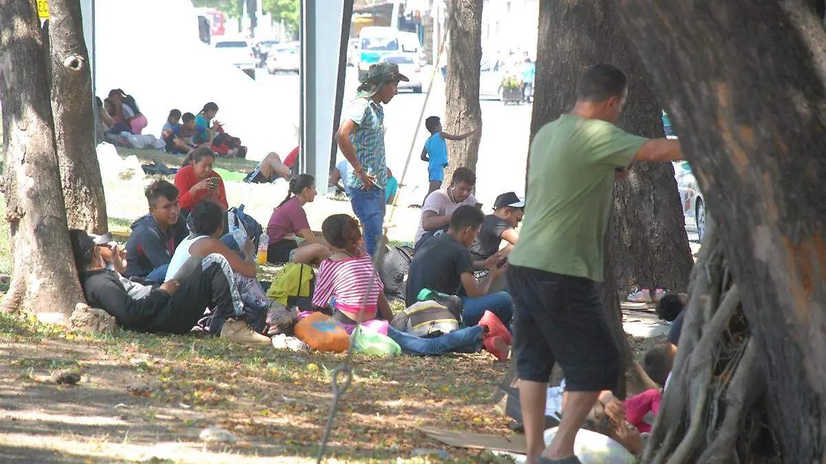 Refugiados-Migrantes-Comar