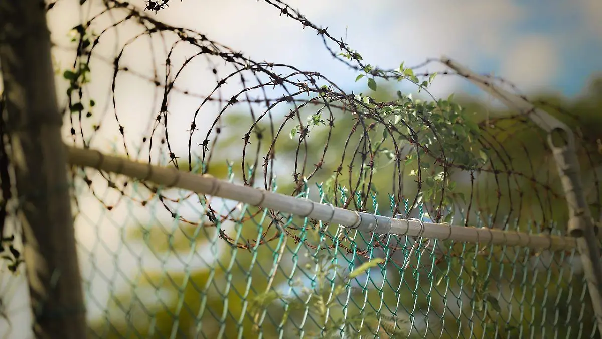 barbed-wire-600471_1280