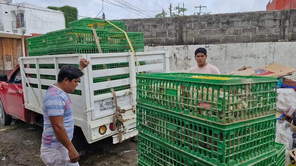 Paraíso-Gobierno-Municipio