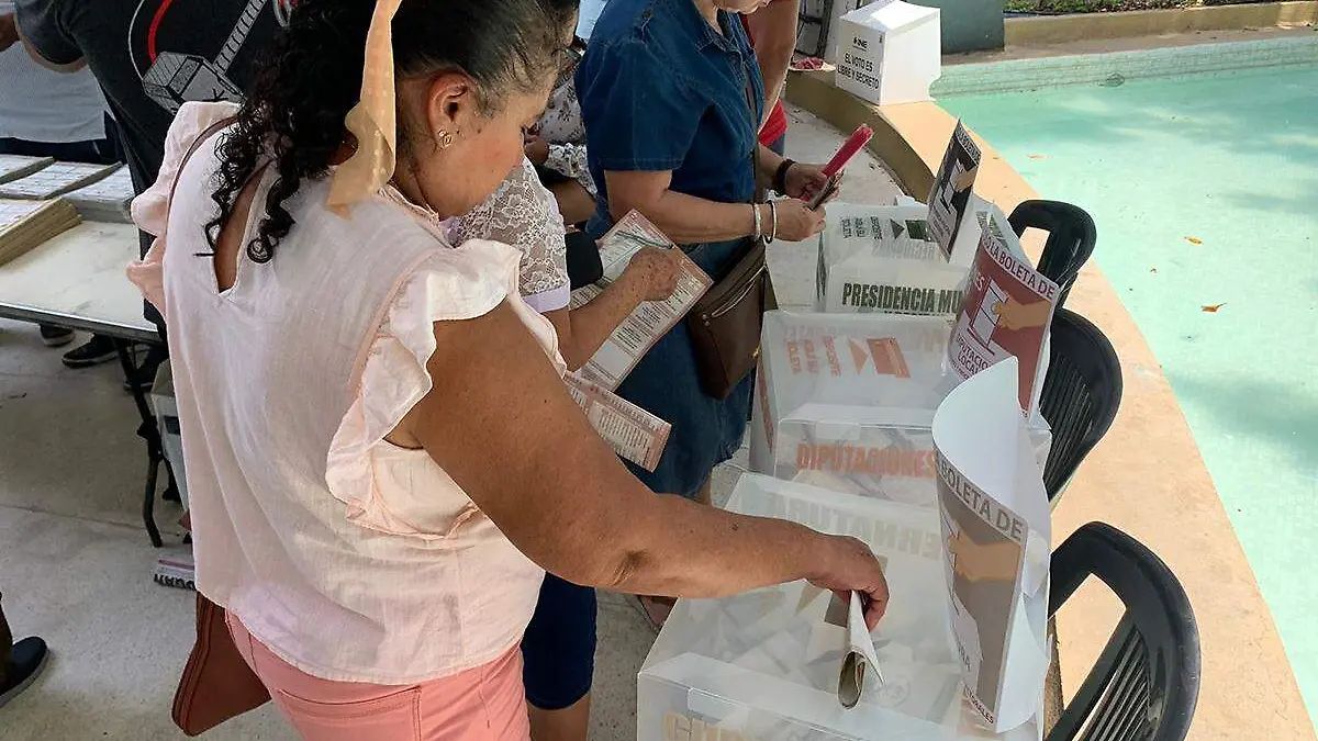 Elecciones-Votante
