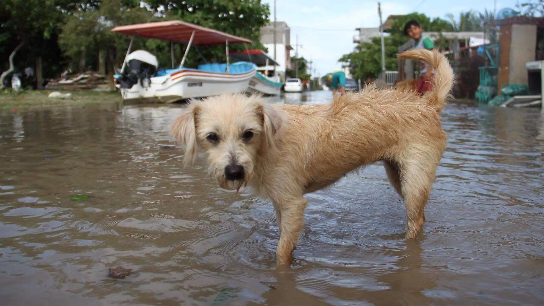 rio