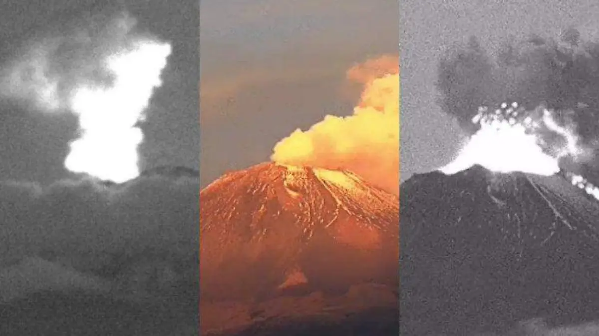 collage popo ceniza
