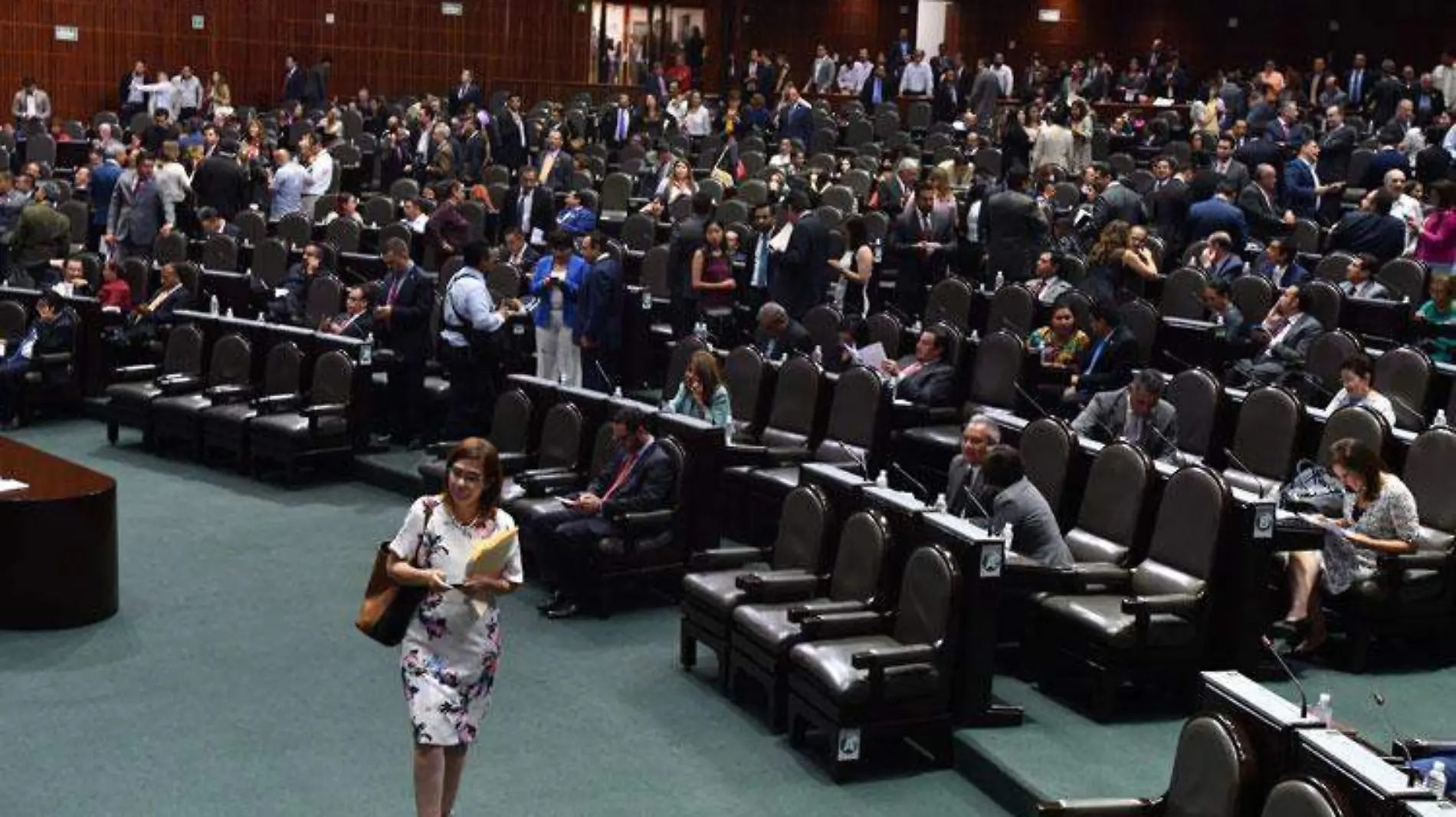 diputados