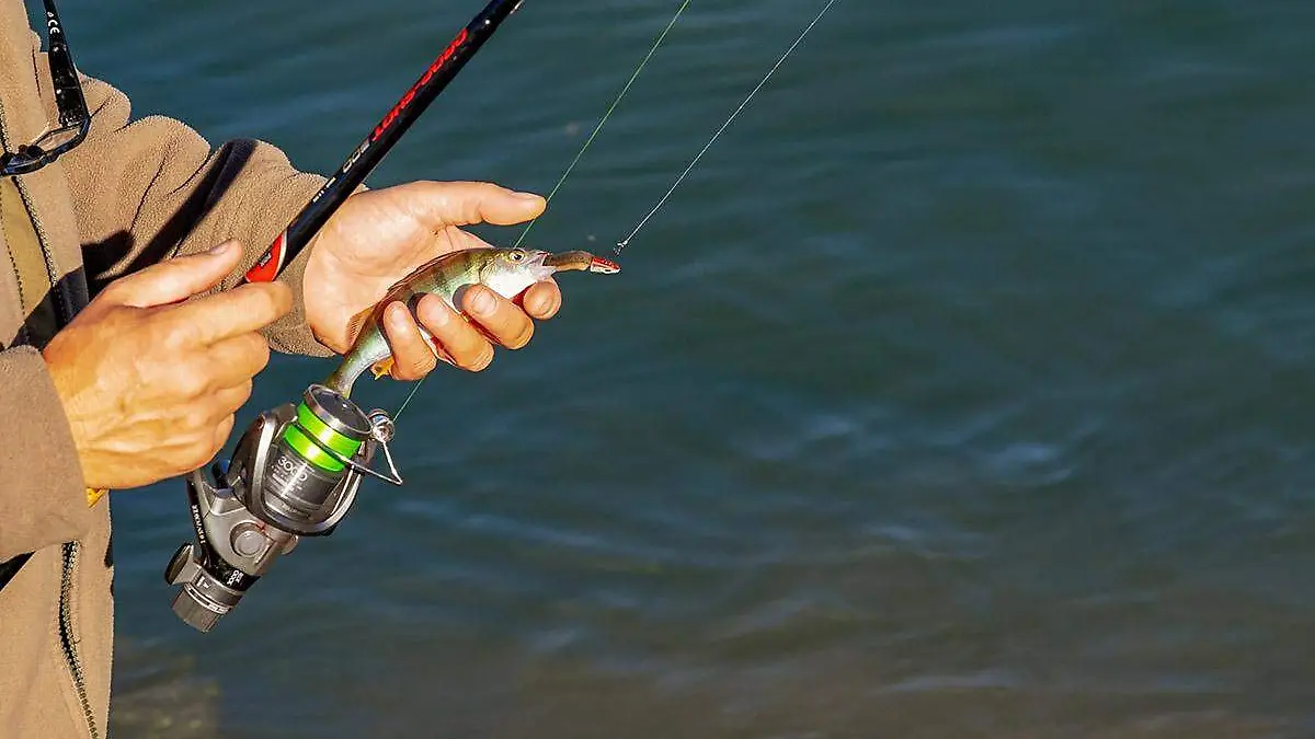 Pesca-Deportiva-Torneo