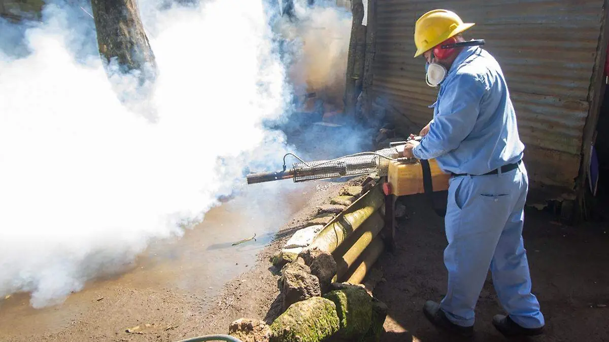 Dengue-Fumigación copia