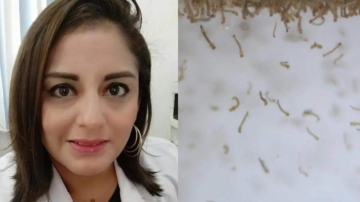 Doctora-Dengue